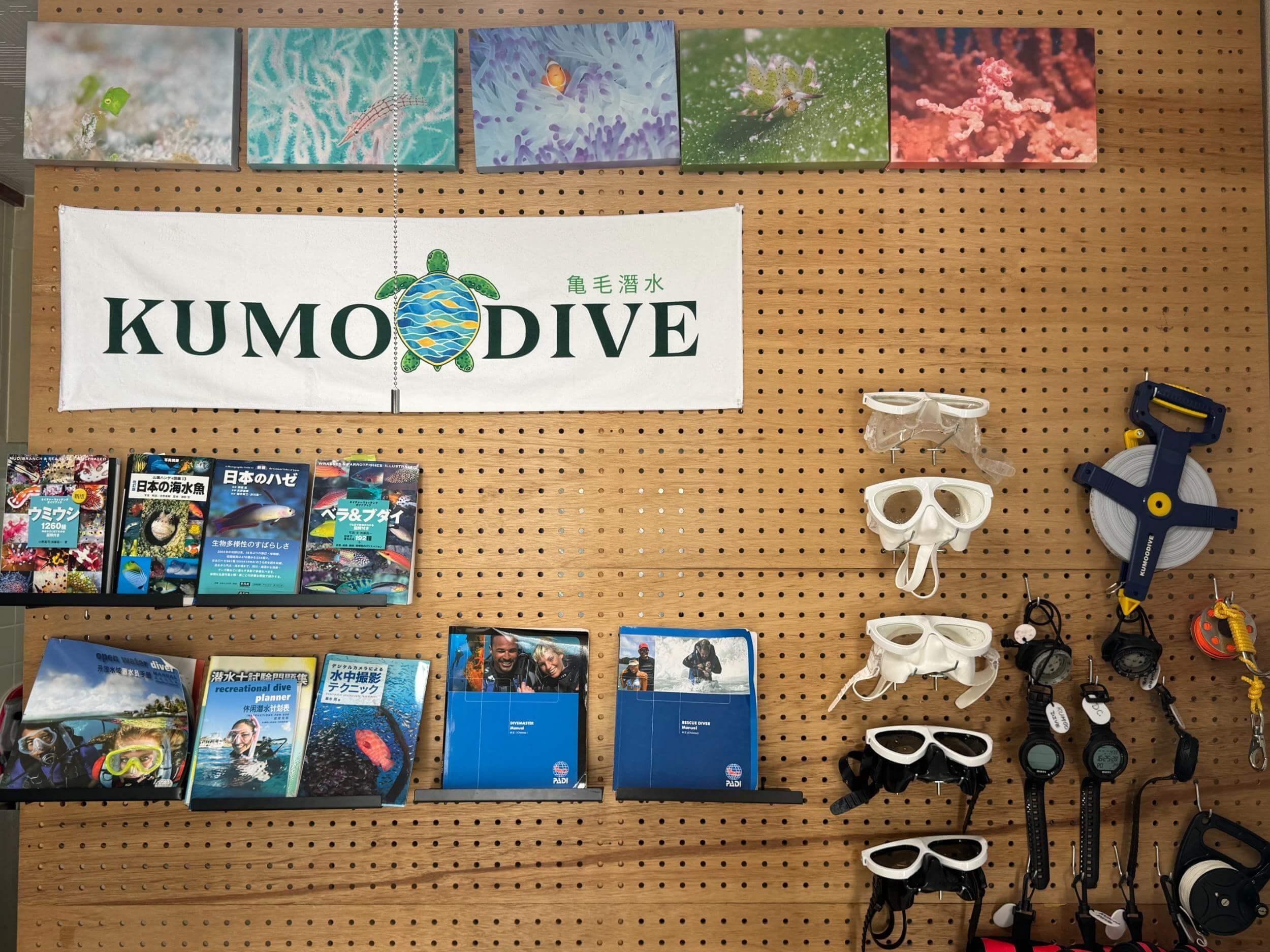 KUMOODIVE