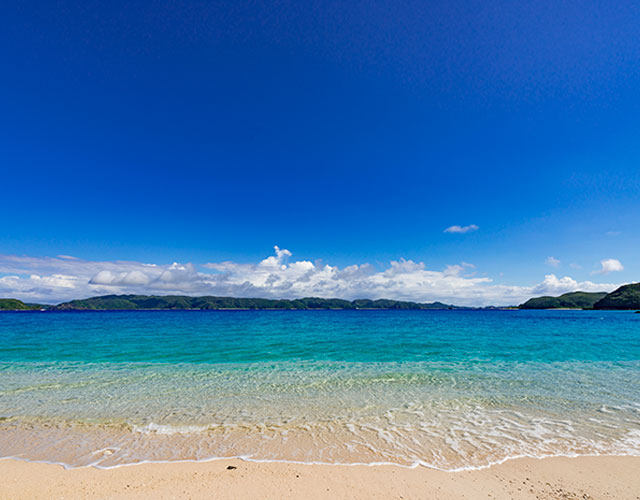 ビーチダイビング