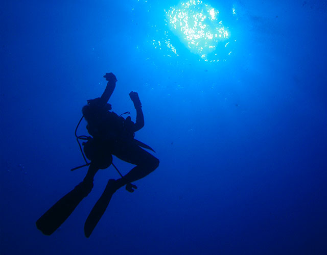 ディープダイビング