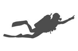 ダイバーのイメージ